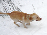Fotoblog zycienieboli