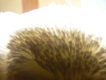 Fotoblog acqs