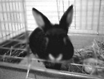 Fotoblog mojxxixxjej