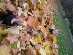 Fotoblog ewcia908