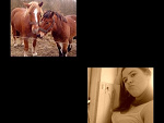 Fotoblog ufrandopala