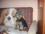 Fotoblog monisiaxfifus