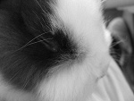 Fotoblog yaap