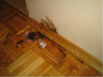 Fotoblog slodziutkiparypapepal
