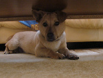 Fotoblog bodziox3