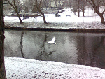 Fotoblog onedayinmylife92