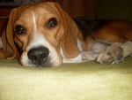 Fotoblog xxgrilsxx