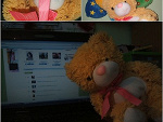 Fotoblog xxmisiaczekxxmisiuloxx