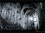 Fotoblog ayutsu