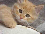 Fotoblog tolailola12