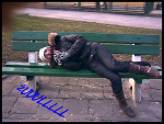 Fotoblog xxpatkejszynsxx