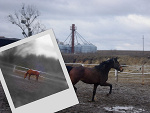 Fotoblog xxxfotkixxx