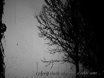 Fotoblog innamoratoo