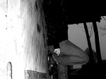 Fotoblog niunialu