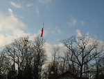 Fotoblog milenq95