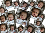 Fotoblog aropieczaro222
