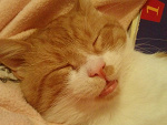 Fotoblog xxizaaa94xx