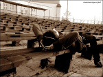 Fotoblog nienoniemoge