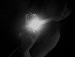 Fotoblog bisewa