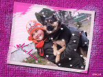 Fotoblog mufcio