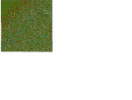 Fotoblog ch0jnasgd