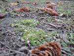 Fotoblog xnatsumix