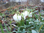 Fotoblog kochamchrystusa