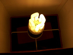 Fotoblog 76ad