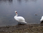 Fotoblog xmalinowa97x