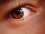 Fotoblog cowboyfromhells