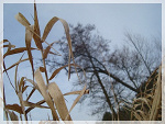Fotoblog domiiinisia
