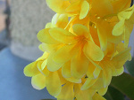 Fotoblog chemiczna14