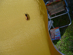 Fotoblog madziak0808
