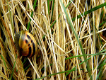 Fotoblog zaneta365