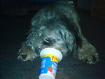 Fotoblog chesterek