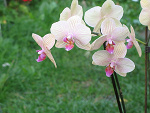 Fotoblog misio1607