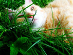 Fotoblog imshitty