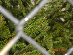 Fotoblog kanas1122