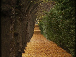 Fotoblog kasia123sz