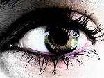 Fotoblog schwarzchild