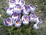 Fotoblog amorekk