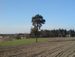 Fotoblog skofo