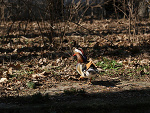 Fotoblog dudzio181