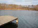 Fotoblog tocasbeautifulthings