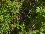 Fotoblog tajemniaczek100