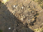 Fotoblog evilphoto