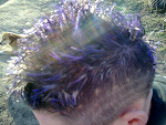 Fotoblog szatan1592