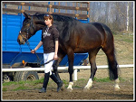 Fotoblog miho7