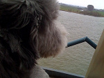 Fotoblog annkathrinb