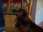 Fotoblog adzia2